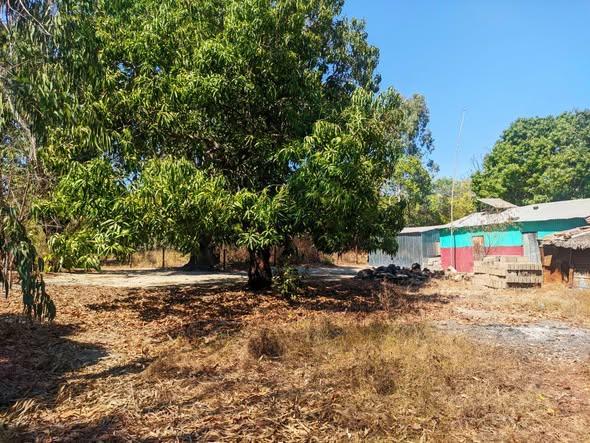 Terrain 300 m² à vendre — Mahajanga - photo 4