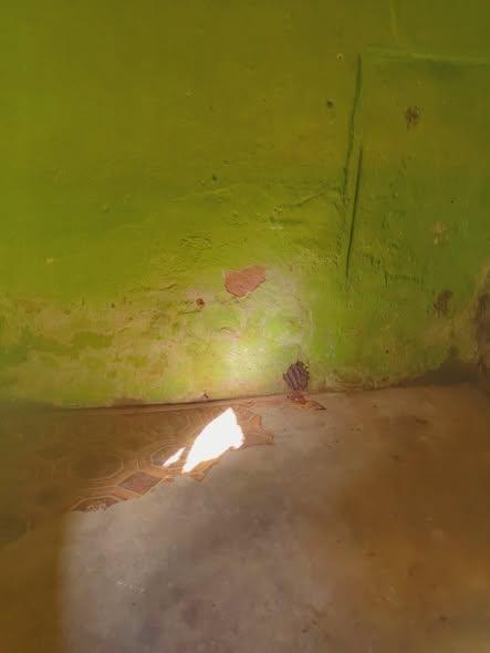 Maison 1 ch. à louer — Andavamamba - photo 2