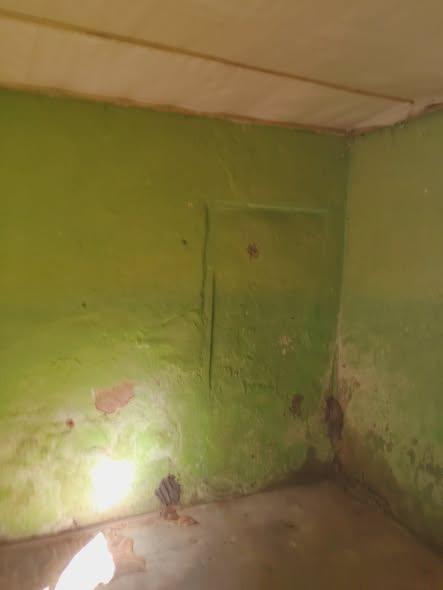 Maison 1 ch. à louer — Andavamamba - photo 3