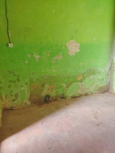 Maison 1 ch. à louer — Andavamamba - photo 5