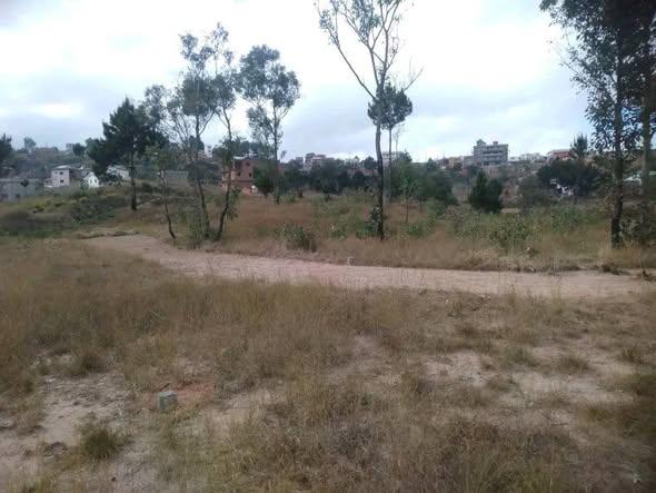 Terrain 10 000 m² à vendre — Ambatofotsy - photo 1