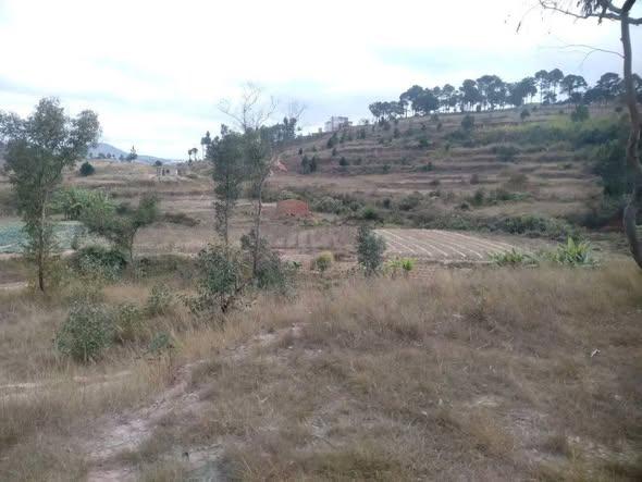 Terrain 10 000 m² à vendre — Ambatofotsy - photo 2