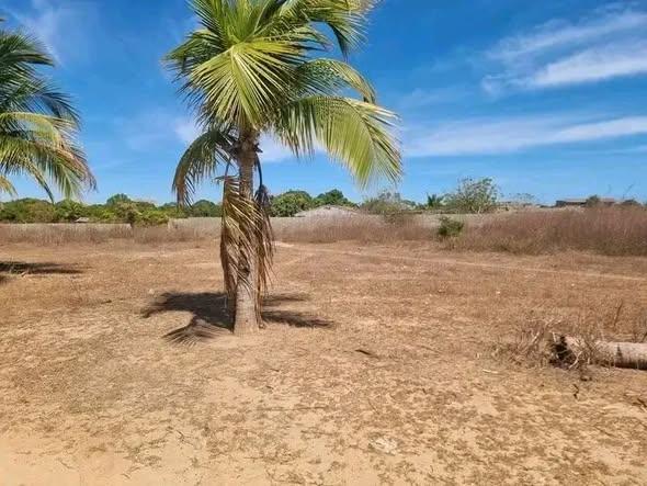Terrain à vendre — Ambondrona - photo 4