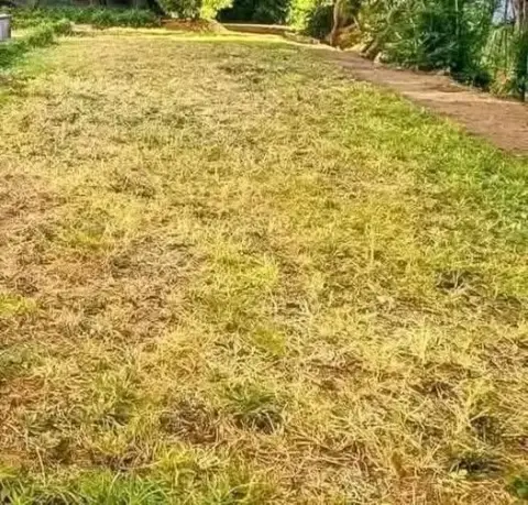 Terrain 1 000 m² à vendre — Iavoloha — 160 000 000 Ar | Fonenako