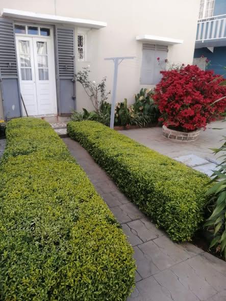 Maison à louer — Amboditsiry - photo 1