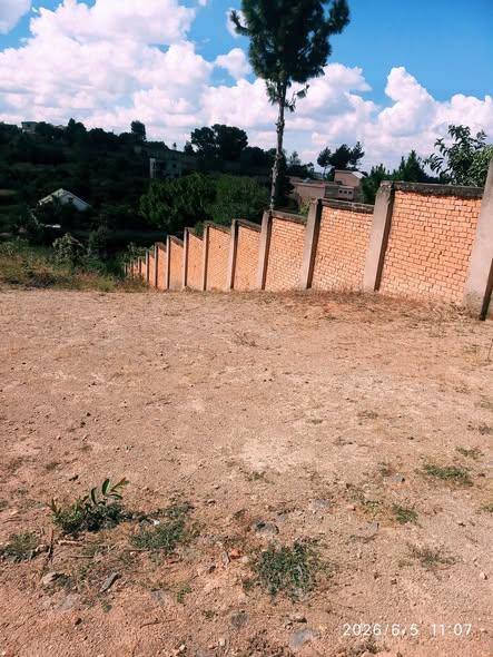 Terre agricole à vendre — Ivato - photo 2