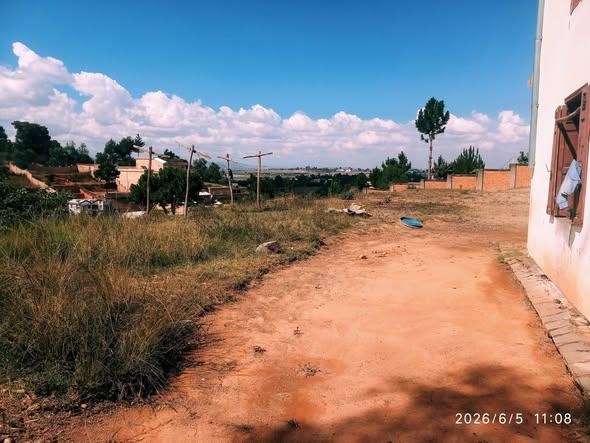 Terre agricole à vendre — Ivato - photo 3