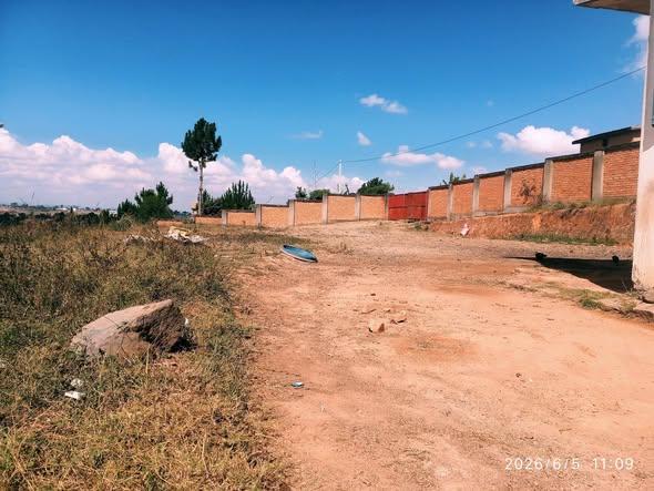 Terre agricole à vendre — Ivato - photo 4