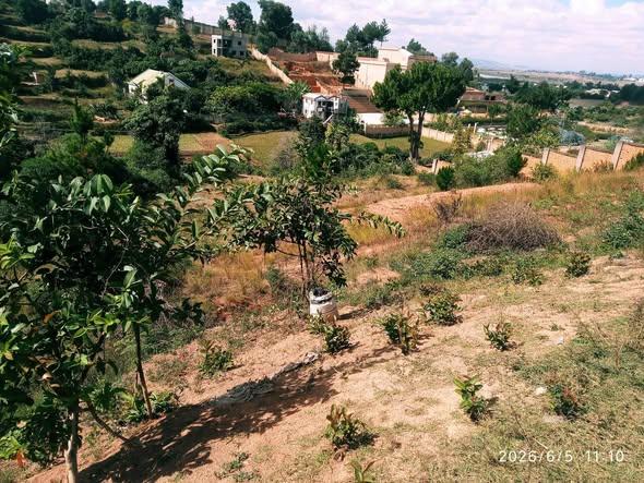 Terre agricole à vendre — Ivato - photo 5