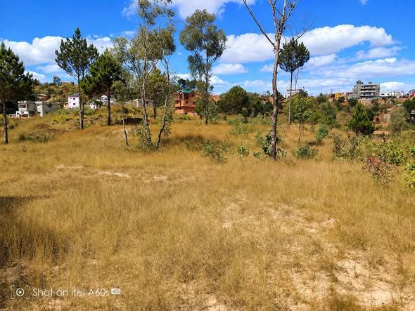 Terrain 10 000 m² à vendre — Anjomakely - photo 3