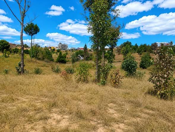 Terrain 10 000 m² à vendre — Anjomakely - photo 4