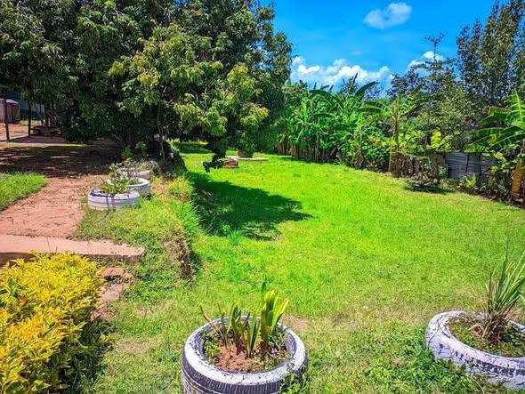 Terrain 1 000 m² à vendre — Anosy - photo 1