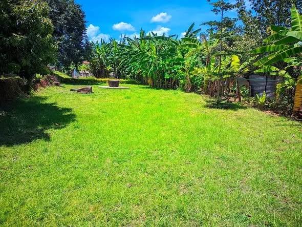 Terrain 1 000 m² à vendre — Anosy - photo 2