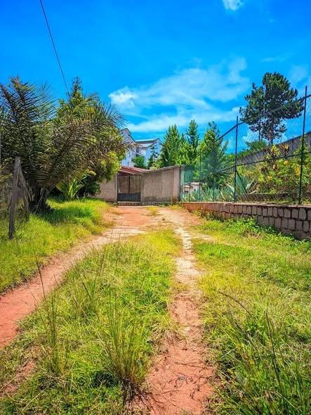 Terrain 1 000 m² à vendre — Anosy - photo 5