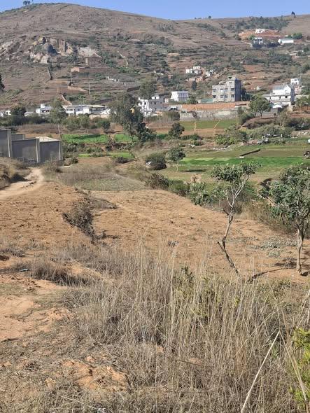 Terrain 6 000 m² à vendre — Ambohijanaka · 70 000 Ar/m² - photo 5