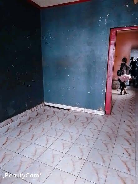 Trano Ahofa 2 ch. à louer — 67ha - photo 1
