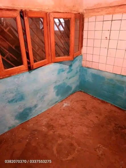 Maison 1 ch. à louer — 67ha - photo 2