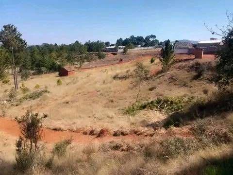 Terrain titré et borné 1 000 m² — Vontovorona, Antananarivo - photo 1