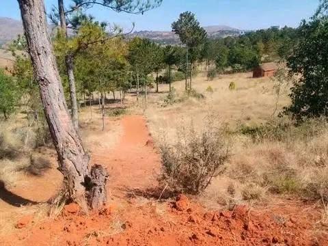 Terrain titré et borné 1 000 m² — Vontovorona, Antananarivo - photo 2