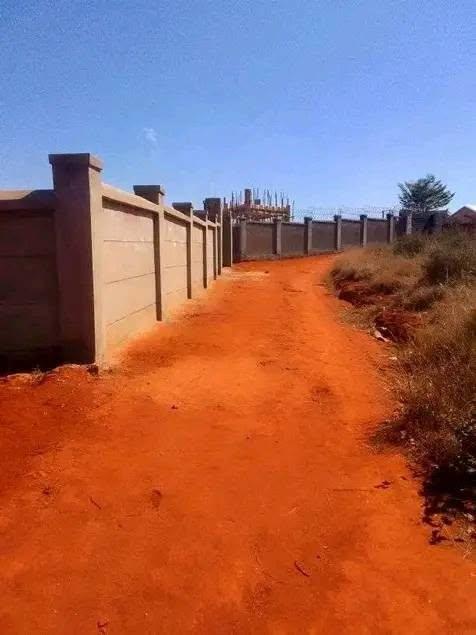 Terrain titré et borné 1 000 m² — Vontovorona, Antananarivo - photo 3