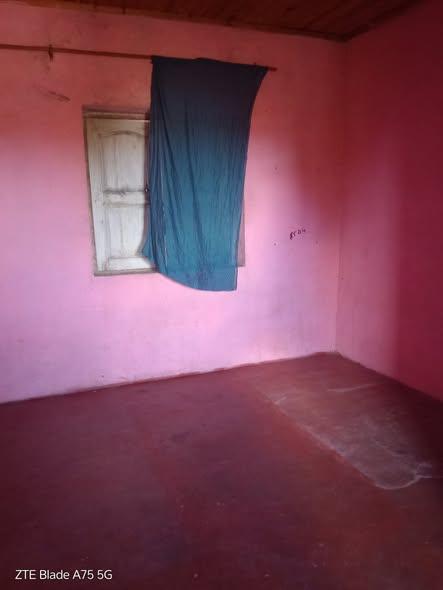 Trano Ahofa 1 ch. à louer — Moramanga - photo 2