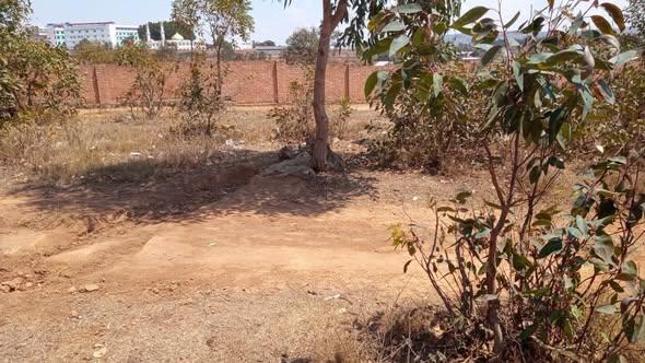 Terrain 300 m² à vendre — Anosiala - photo 4