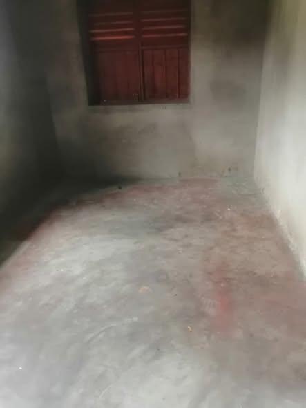 Maison 1 ch. à louer — Itaosy - photo 2