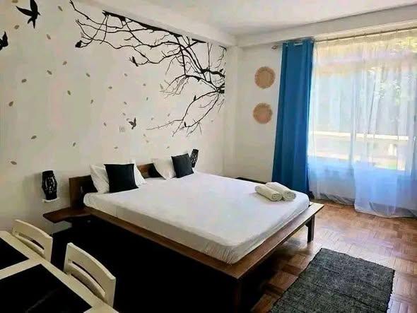 Appartement 2 ch. à louer — Behoririka - photo 2