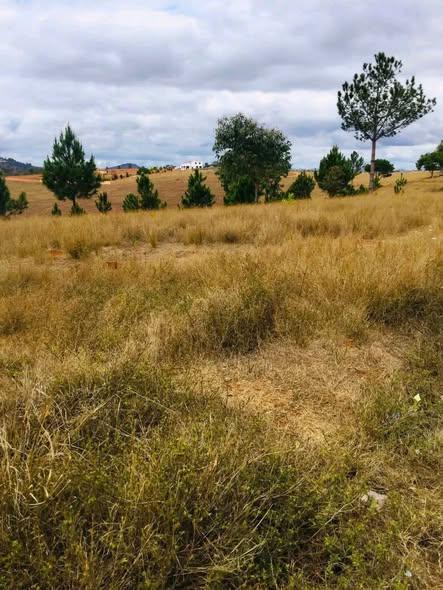 Terrain à vendre — Mahazo - photo 4