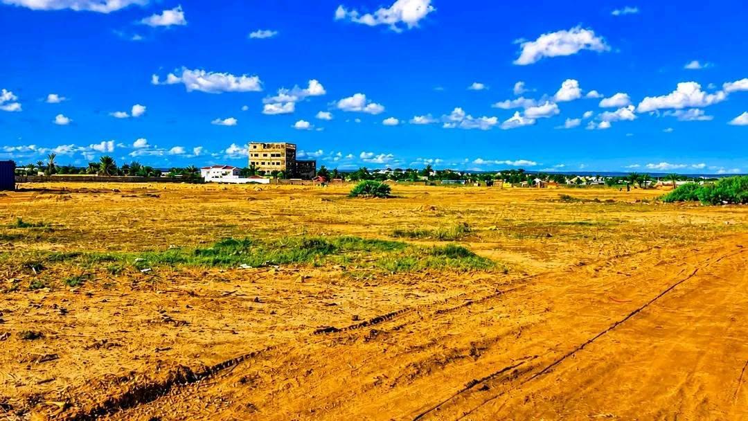 Terrain titré et borné 1 ha — Motombe, Toliara - photo 2