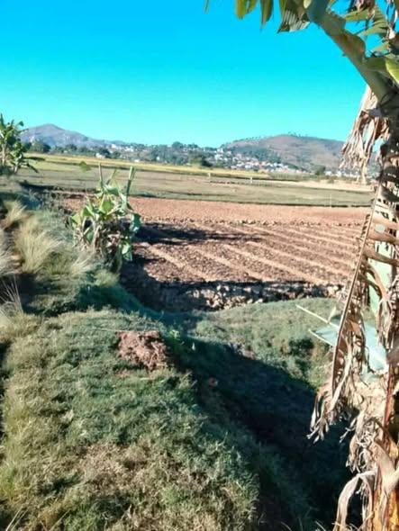 Terrain 9 000 m² à vendre — Ambohimanambola · 60 000 Ar/m² - photo 2