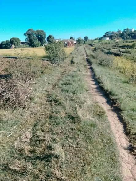 Terrain 9 000 m² à vendre — Ambohimanambola · 60 000 Ar/m² - photo 4
