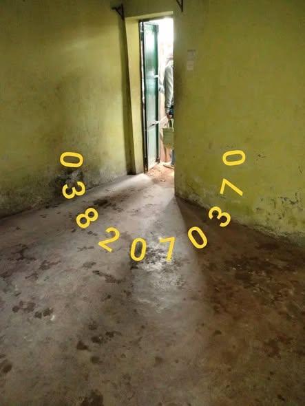 Trano Ahofa 1 ch. à louer — Ambany - photo 3
