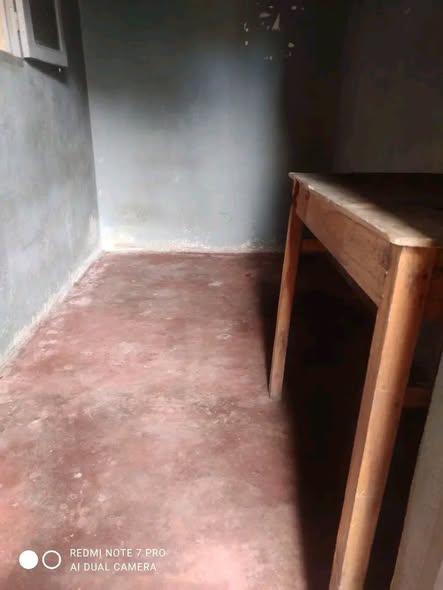 Trano Ahofa à louer — Ankatso - photo 1