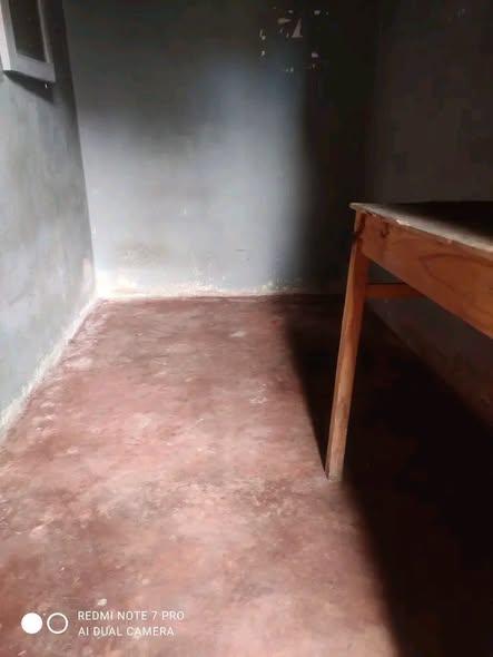 Trano Ahofa à louer — Ankatso - photo 2