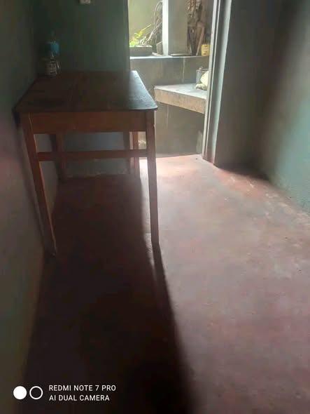 Trano Ahofa à louer — Ankatso - photo 3