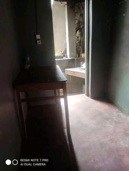 Trano Ahofa à louer — Ankatso - photo 5