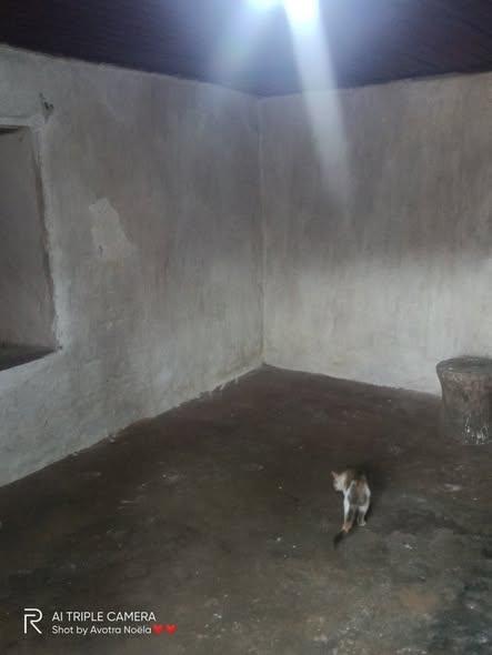 Trano Ahofa 1 ch. à louer — Soamanandrariny - photo 3