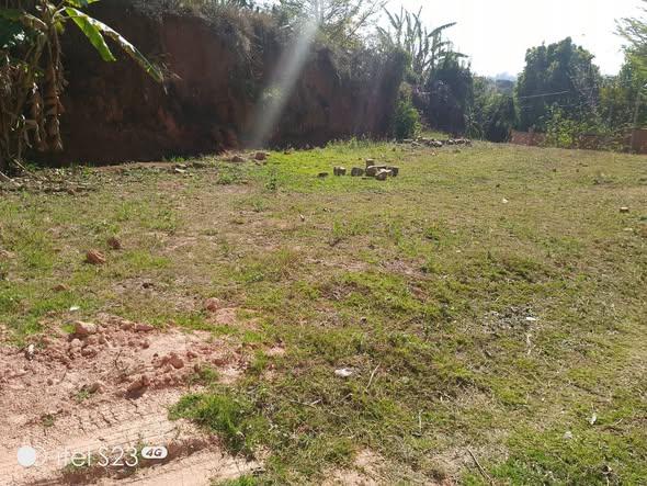 Terrain 1 440 m² à vendre — Ambohidratrimo - photo 2