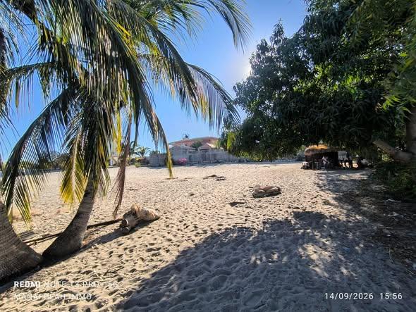Terrain 1 824 m² à vendre — Mahajanga - photo 2
