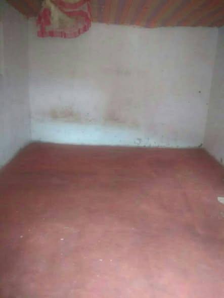 Trano Ahofa 1 ch. à louer — Ilafy - photo 2