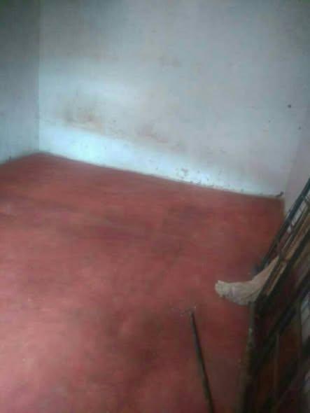Trano Ahofa 1 ch. à louer — Ilafy - photo 3