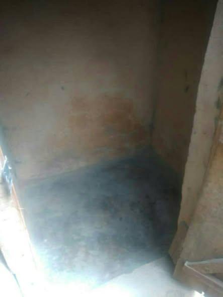 Trano Ahofa 1 ch. à louer — Ilafy - photo 4
