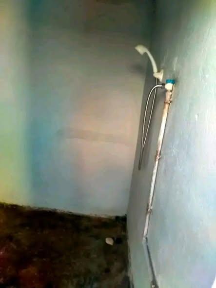 Maison à louer — Mahajanga - photo 5