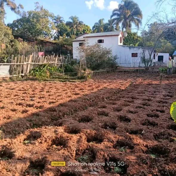 Terrain 500 m² à vendre — Ambohitrarahaba - photo 1