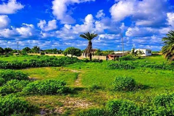 Terrain 20 000 m² à vendre — Toliara - photo 5
