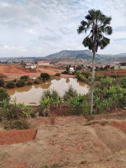 Terrain 400 m² à vendre — Ivato - photo 2
