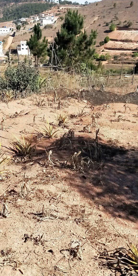 Terrain 1 000 m² accès voiture — Iavoloha, Antananarivo - photo 3