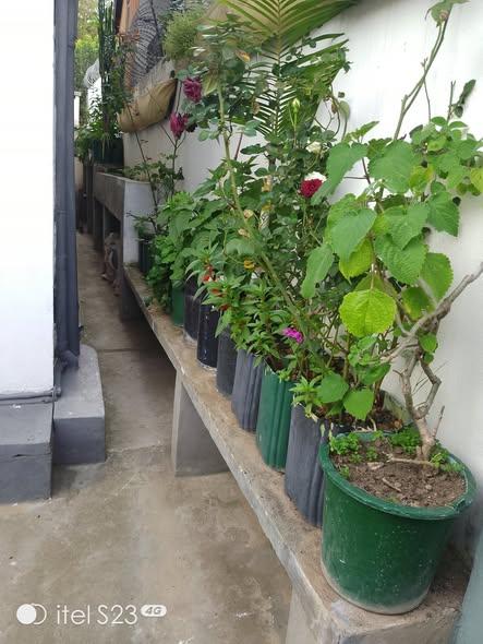 Maison 4 ch. à louer — Ambohibao - photo 3