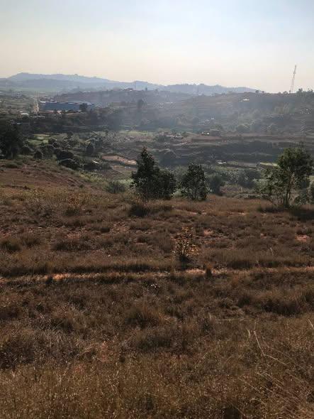 Terrain à vendre — Ambohimanambola - photo 2